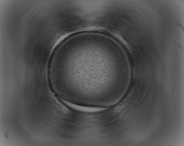 X0000091721412200709071425