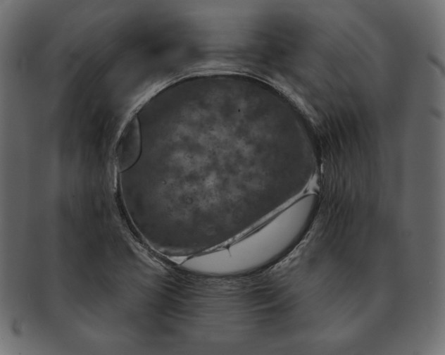 X0000091721413200709071425