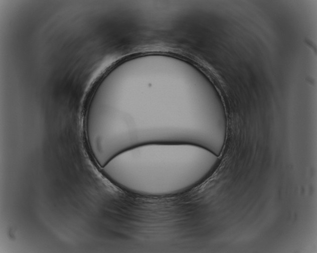 X0000091721416200709071425