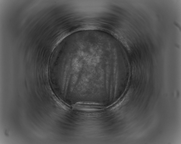 X0000091721417200709071425