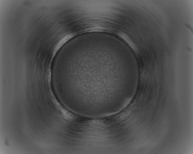 X0000091721418200709071425