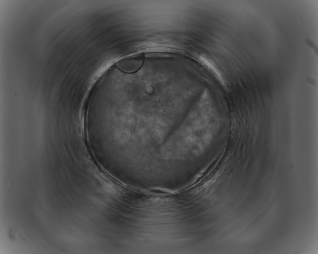 X0000091721419200709071425