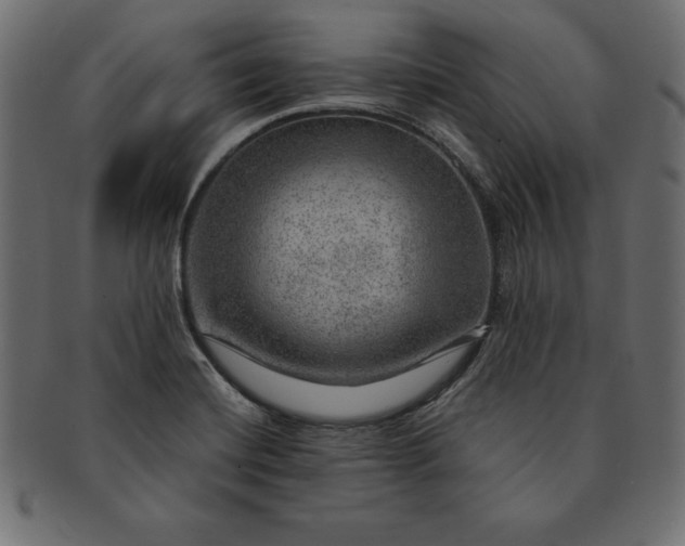 X0000091721420200709071425