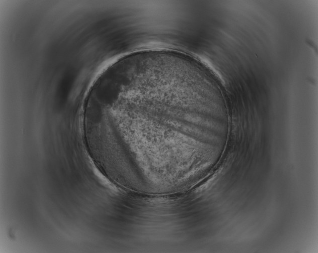 X0000091721421200709071425