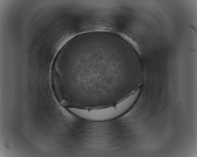 X0000091721423200709071425