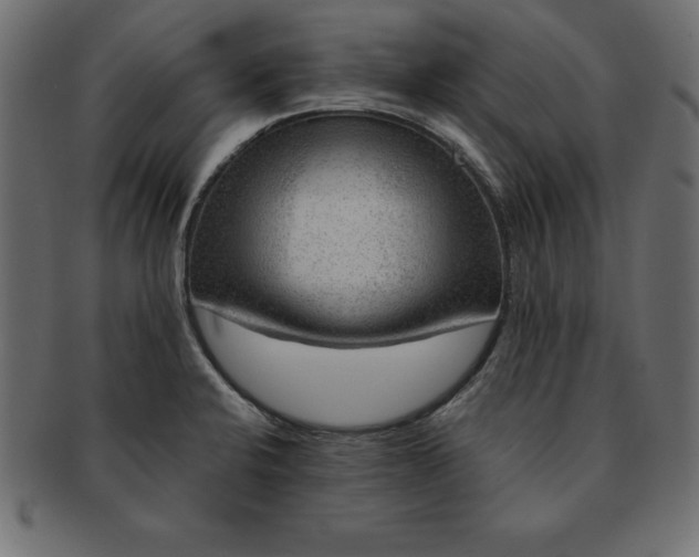 X0000091721424200709071425