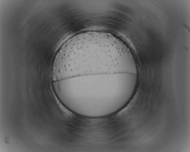 X0000091721425200709071425