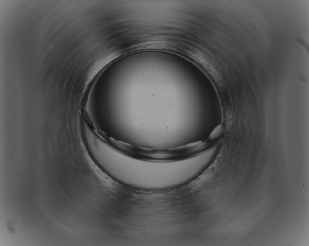 X0000091721426200709071425