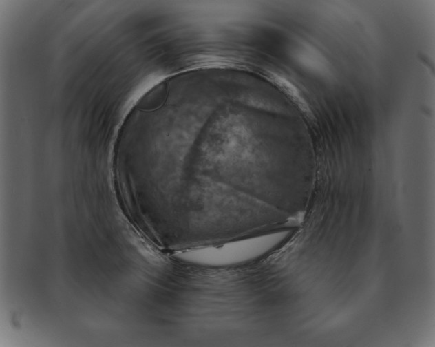 X0000091721427200709071425