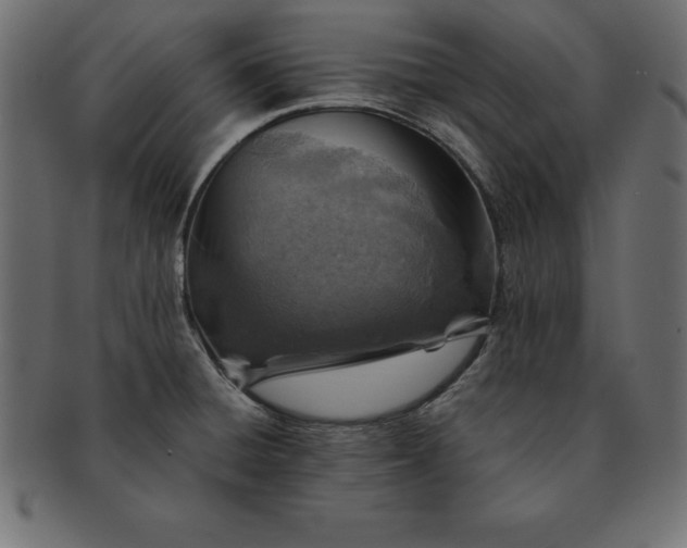 X0000091721428200709071425