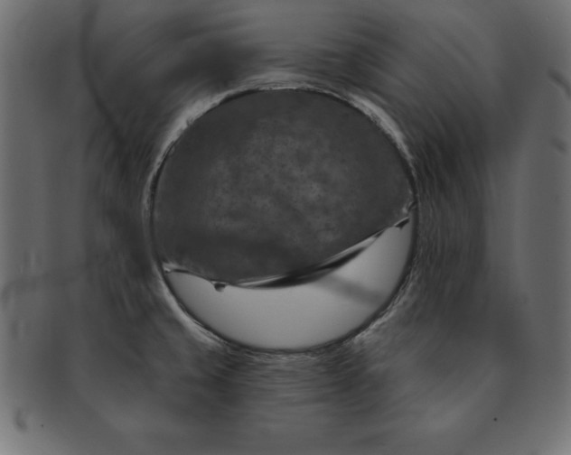 X0000091721429200709071425