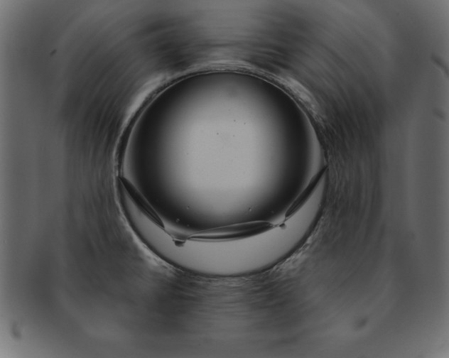 X0000091721430200709071425