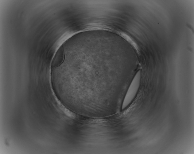 X0000091721431200709071425