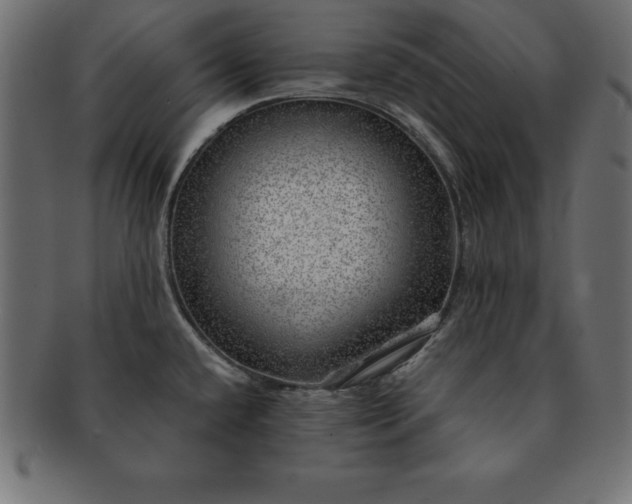 X0000091721432200709071425