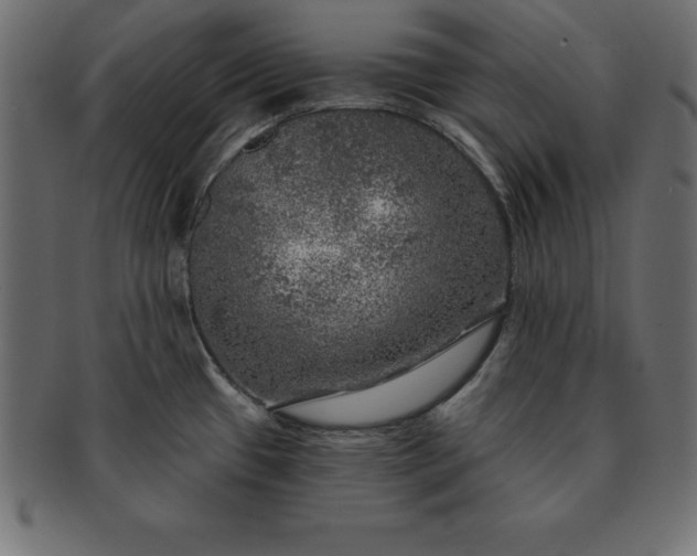 X0000091721433200709071425