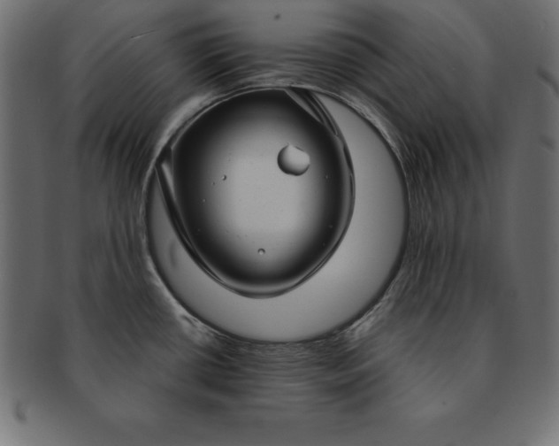 X0000091721434200709071425