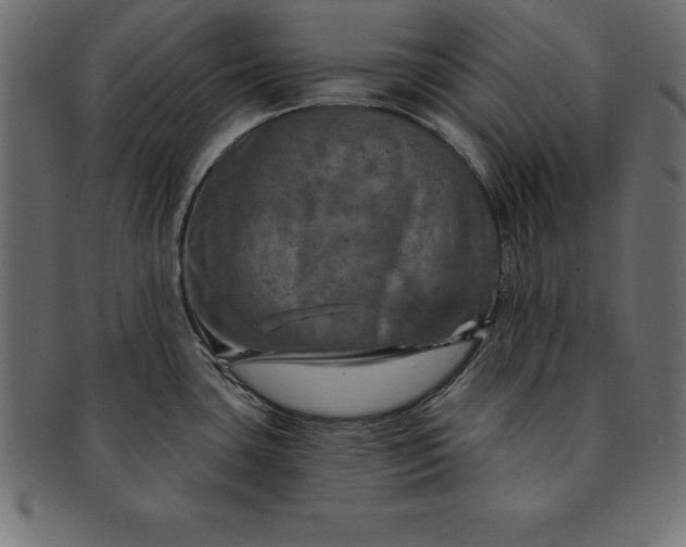 X0000091721435200709071425