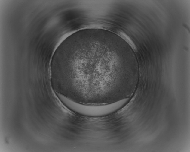 X0000091721436200709071425