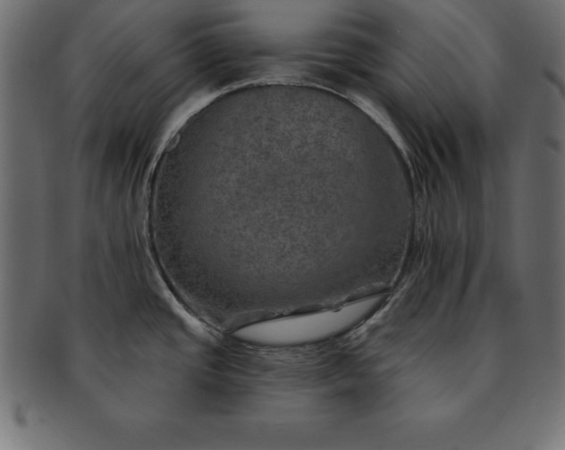 X0000091721437200709071425