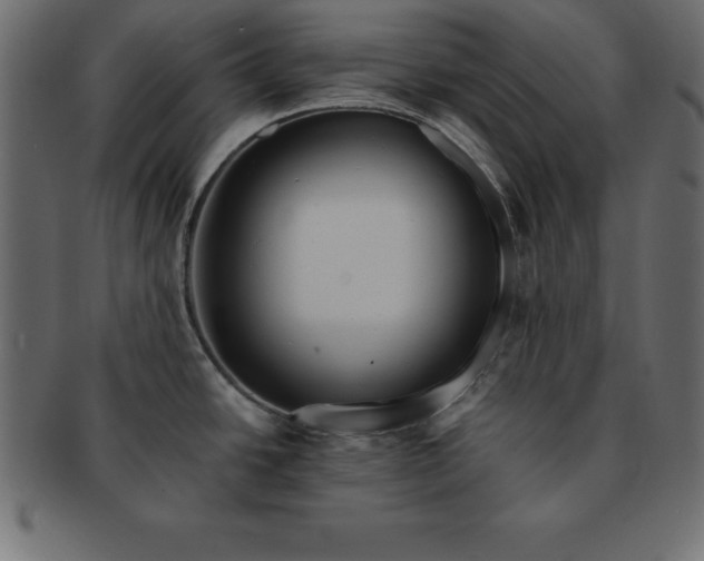 X0000091721438200709071425