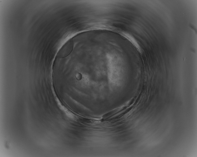 X0000091721439200709071425