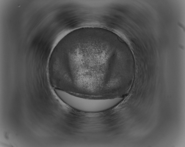 X0000091721440200709071425