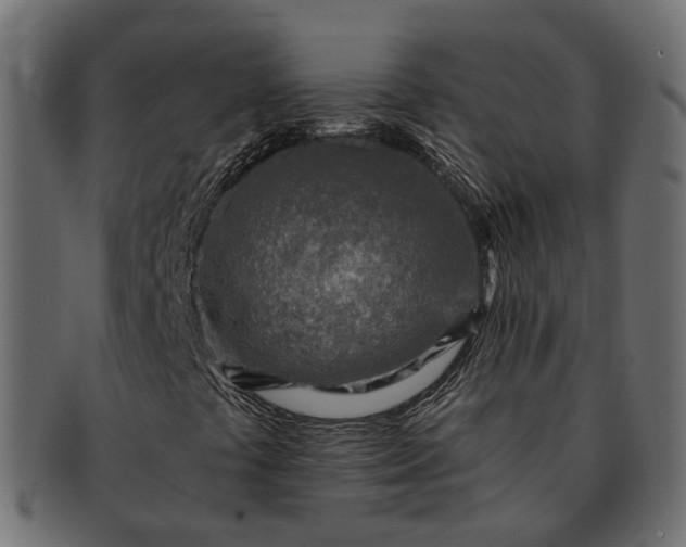 X0000091721441200709071425