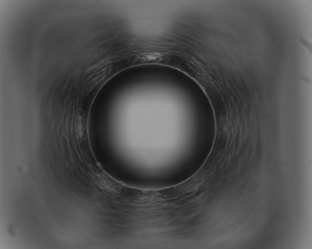 X0000091721442200709071425