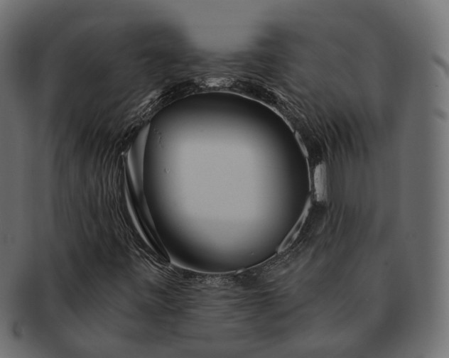 X0000091721443200709071425