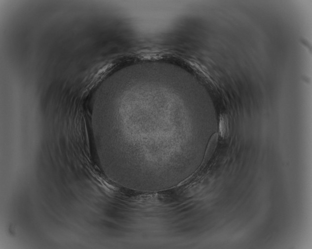 X0000091721444200709071425