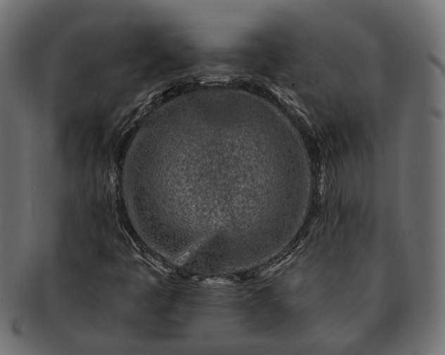 X0000091721445200709071425