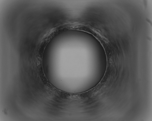 X0000091721447200709071425