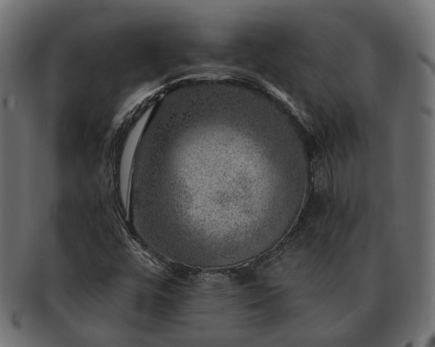 X0000091721448200709071425