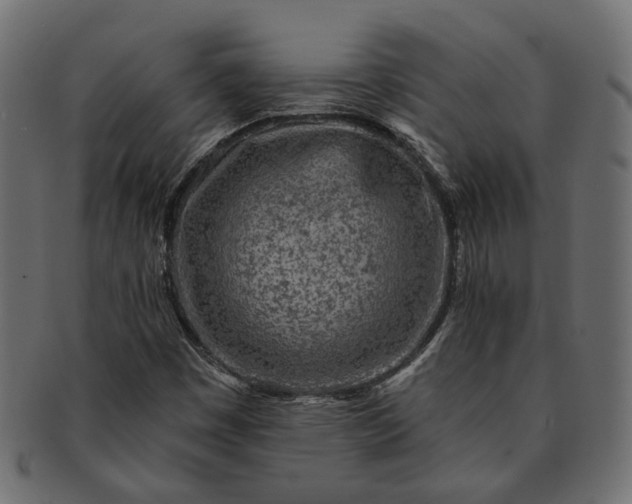 X0000091721449200709071425