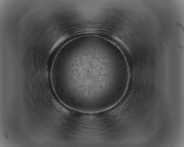 X0000091721450200709071425