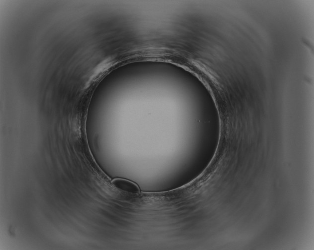 X0000091721451200709071425