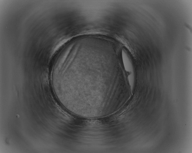 X0000091721452200709071425