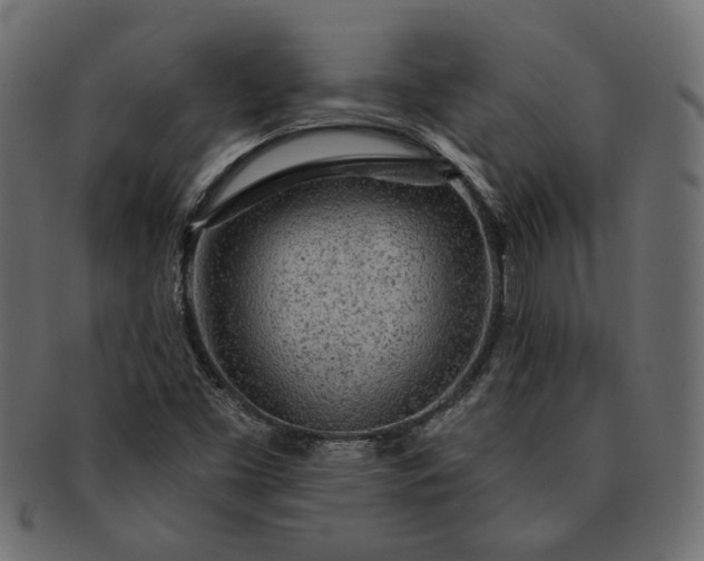 X0000091721453200709071425