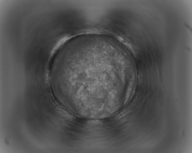 X0000091721454200709071424