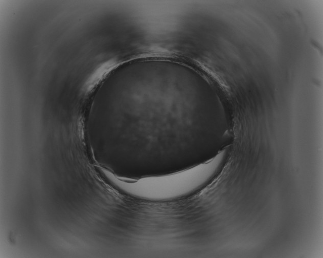 X0000091721455200709071424