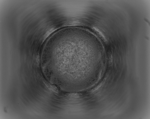 X0000091721457200709071424