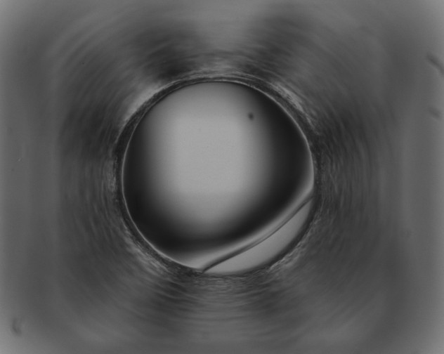 X0000091721458200709071424