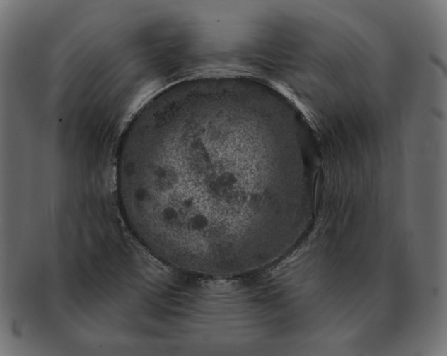 X0000091721459200709071424