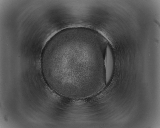 X0000091721460200709071424