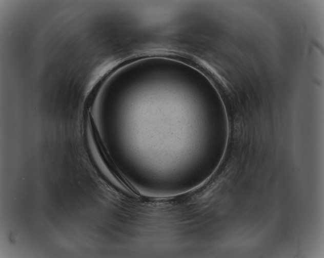 X0000091721461200709071424