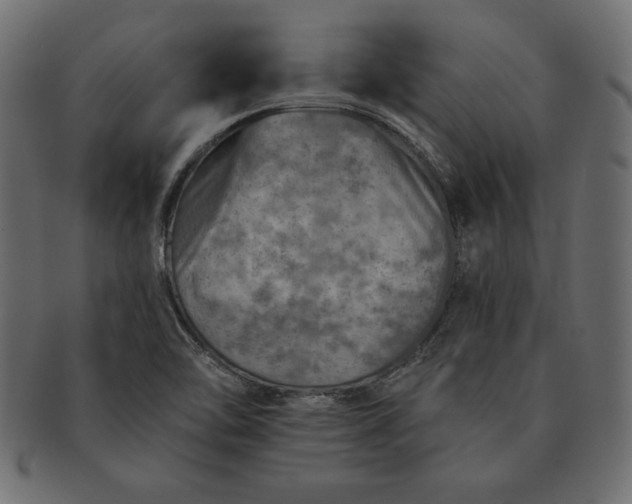 X0000091721462200709071424