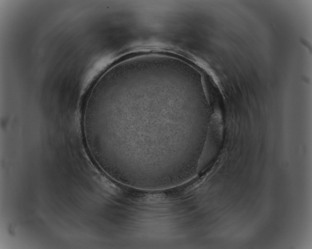 X0000091721464200709071424