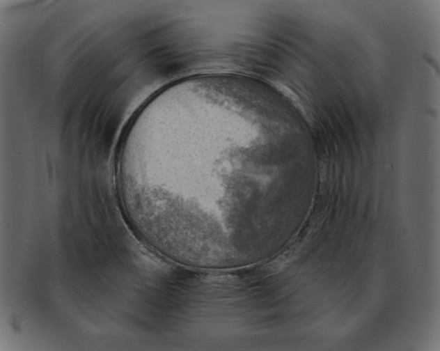 X0000091721466200709071424