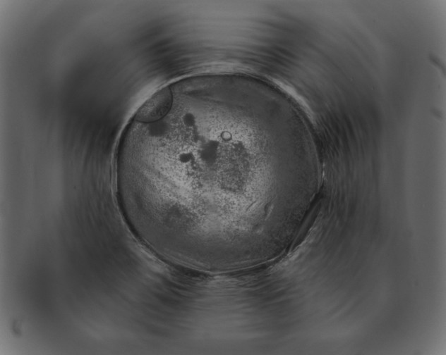 X0000091721467200709071424