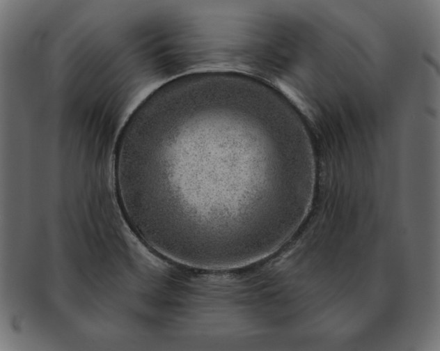 X0000091721468200709071424